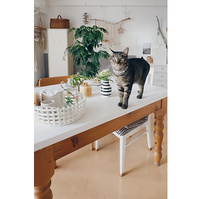 oliveさんの実例写真