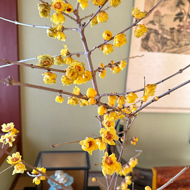 m-poem-cooさんの部屋