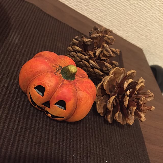 hochiさんの実例写真