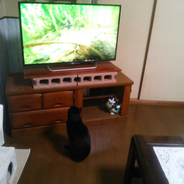 Tomopさんの実例写真
