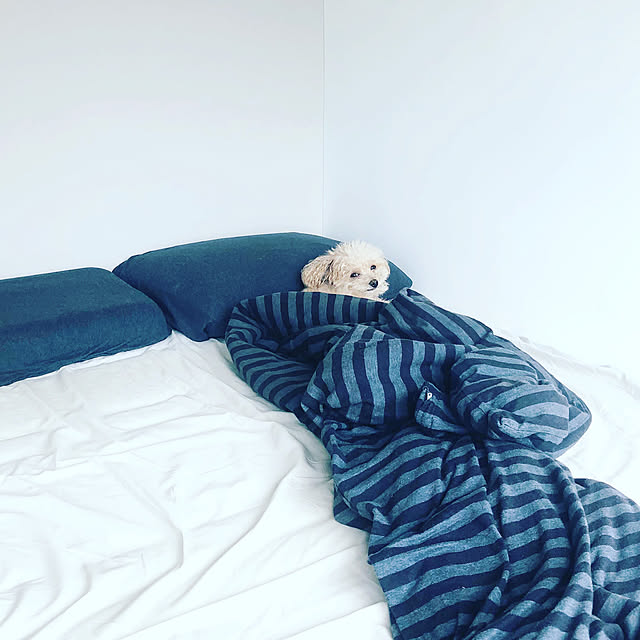BONEさんの実例写真