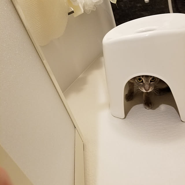 yukiさんの実例写真