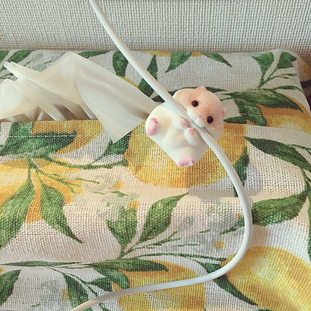 oasisさんの実例写真