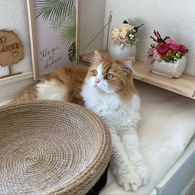 H.Tさんの実例写真