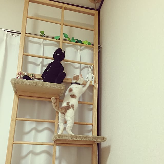 amutantanさんの実例写真