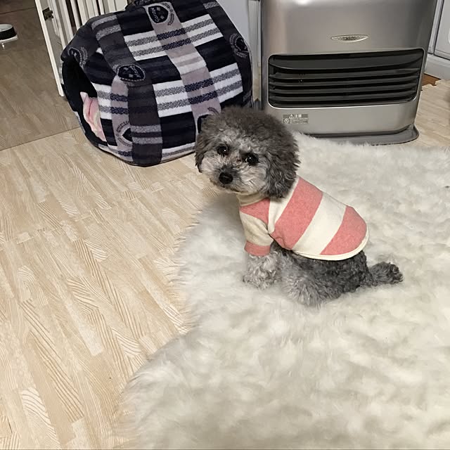 chocomamaさんの実例写真
