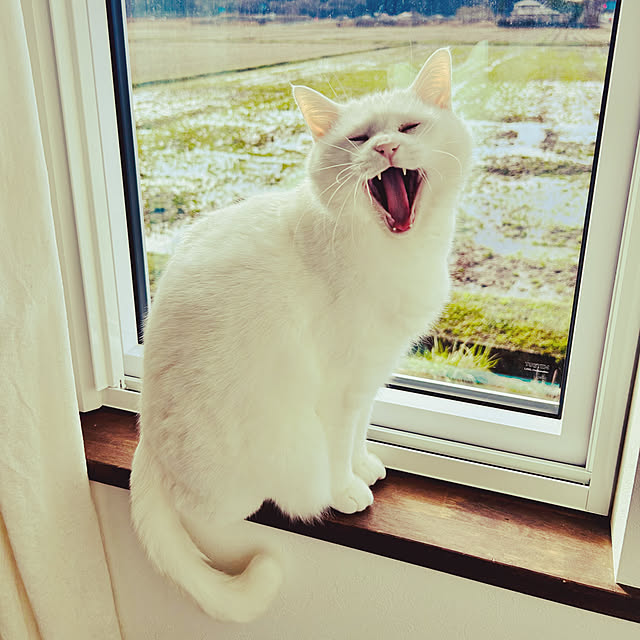 R.さんの実例写真