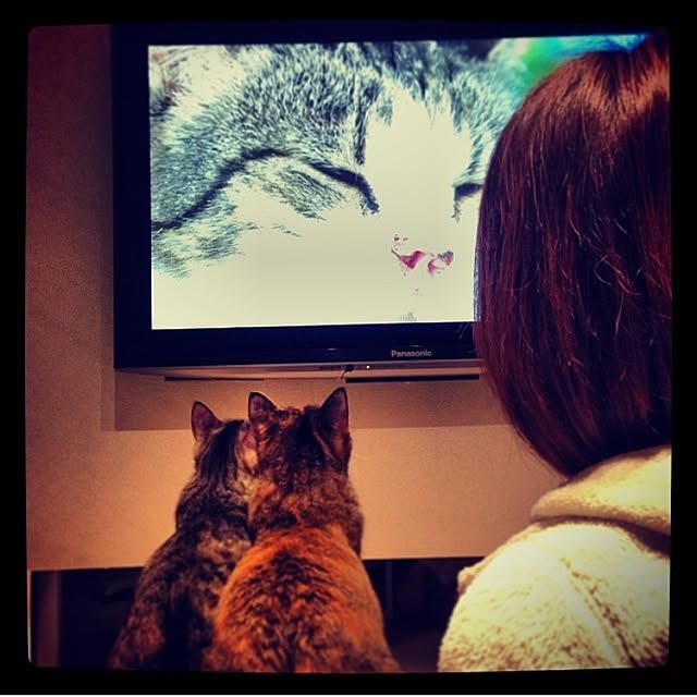 margon69さんの実例写真