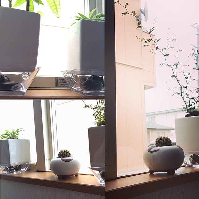 afroさんの実例写真