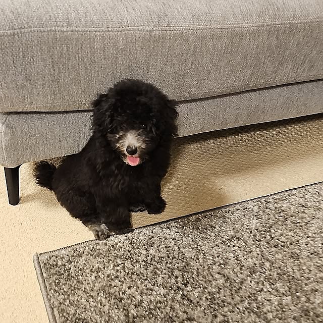 Pokoさんの部屋