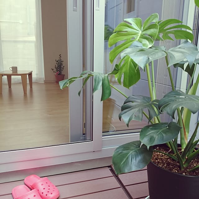 maotamayさんの実例写真