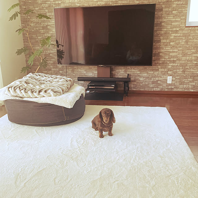 megさんの実例写真