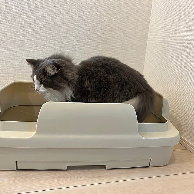 leoさんの部屋
