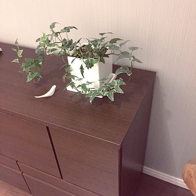 ynhrさんの実例写真