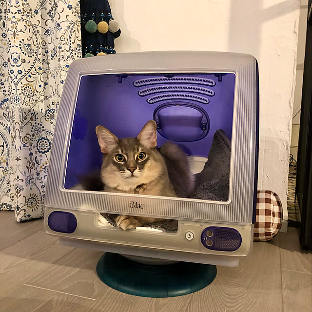 paradise_viewさんの実例写真