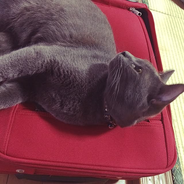 poppoさんの実例写真