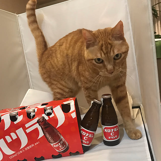 kou-kitiさんの実例写真