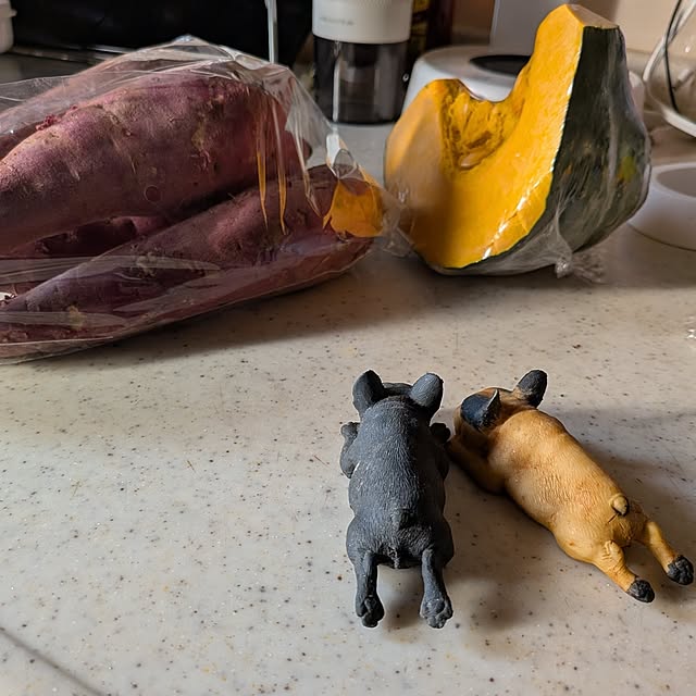 chi_gogaさんの部屋