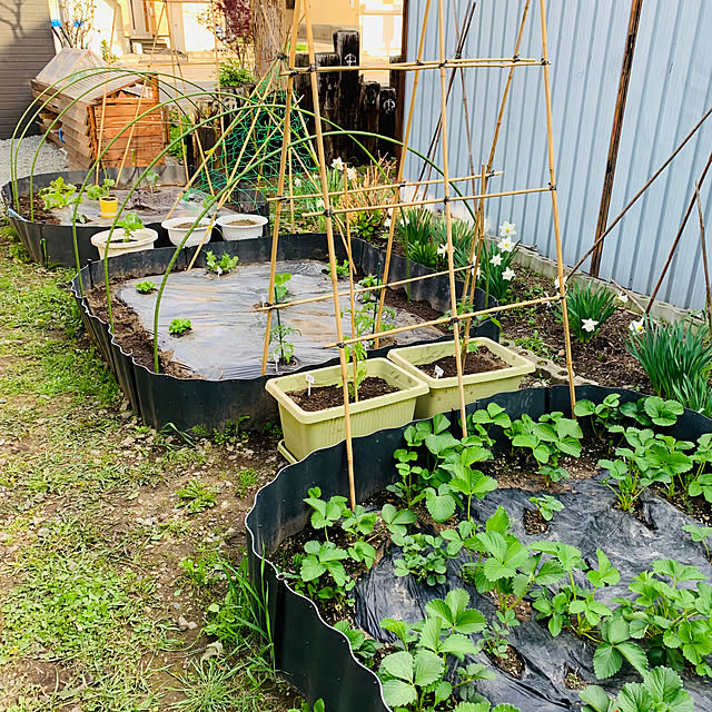 hirayahouse101さんの部屋