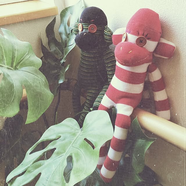akiyoさんの実例写真