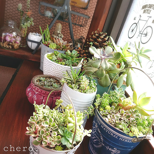chero.さんの実例写真