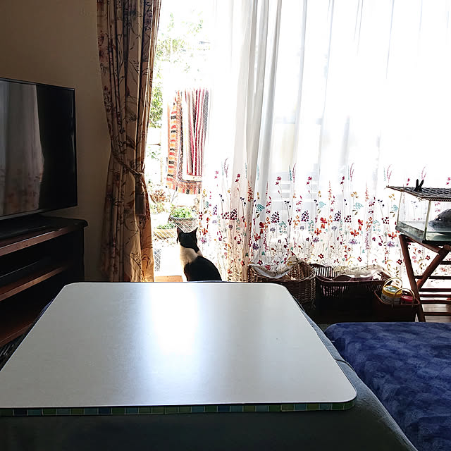 okyosan101さんの実例写真