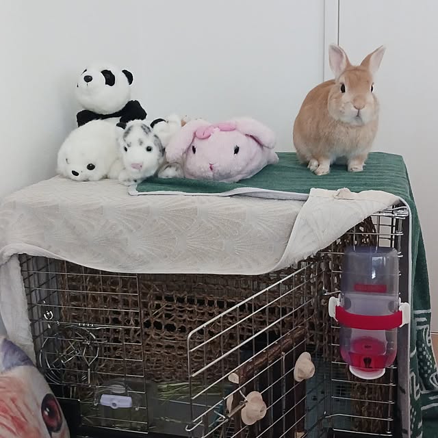 aiさんの部屋