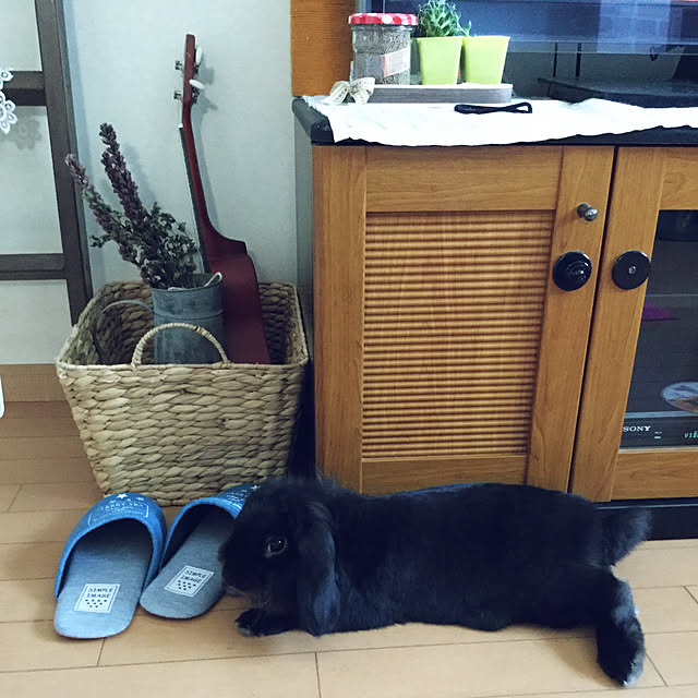tudukiさんの実例写真