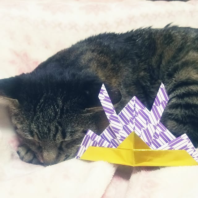 kittenblueさんの実例写真