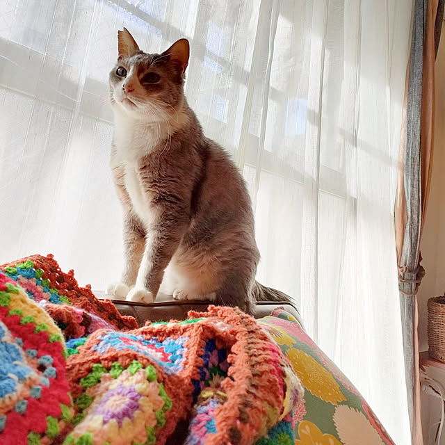 Yoko622さんの実例写真