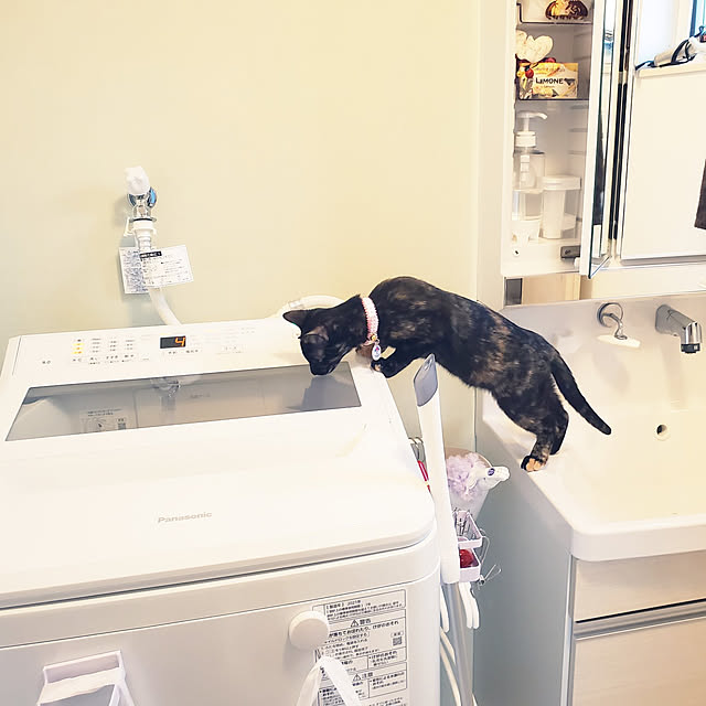 Rinさんの実例写真