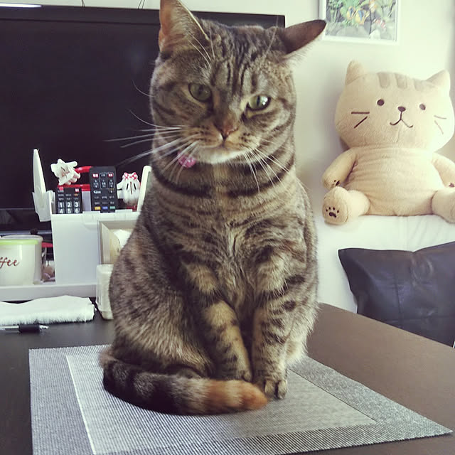runaさんの実例写真