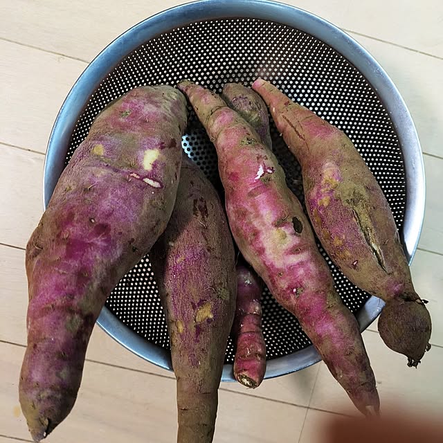 Shion+さんの部屋