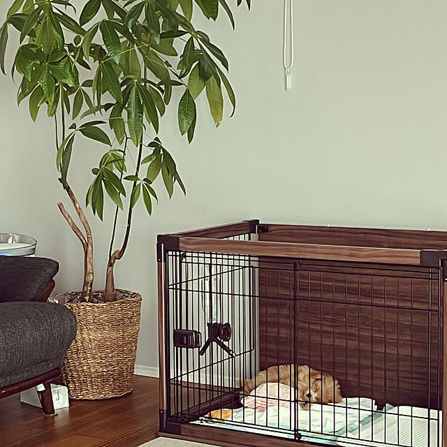 kmさんの実例写真