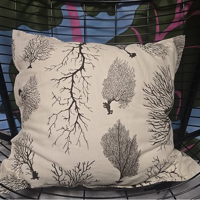 nao814さんの実例写真