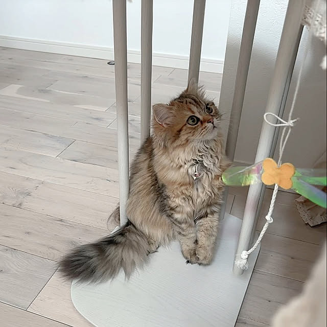 miyu39さんの部屋