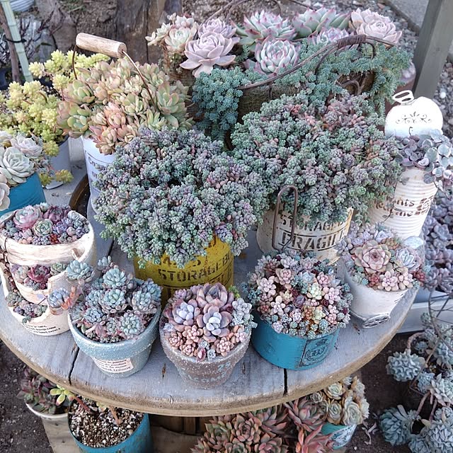 mamaさんの実例写真