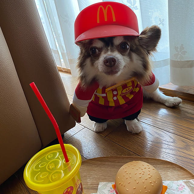 実例写真