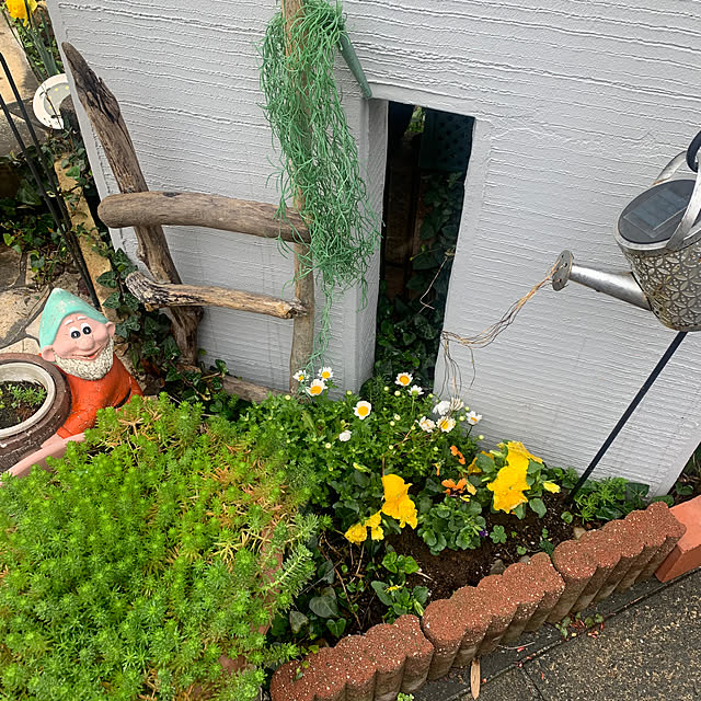 Fumiさんの実例写真