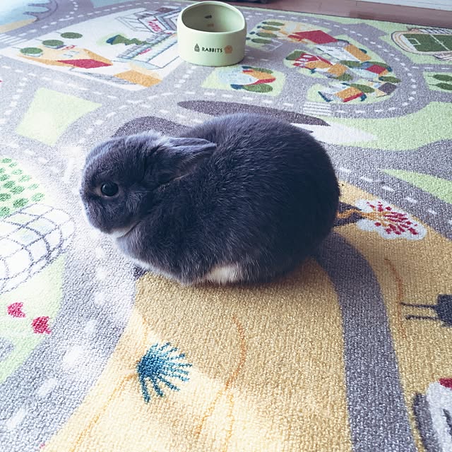 kusuttoさんの実例写真