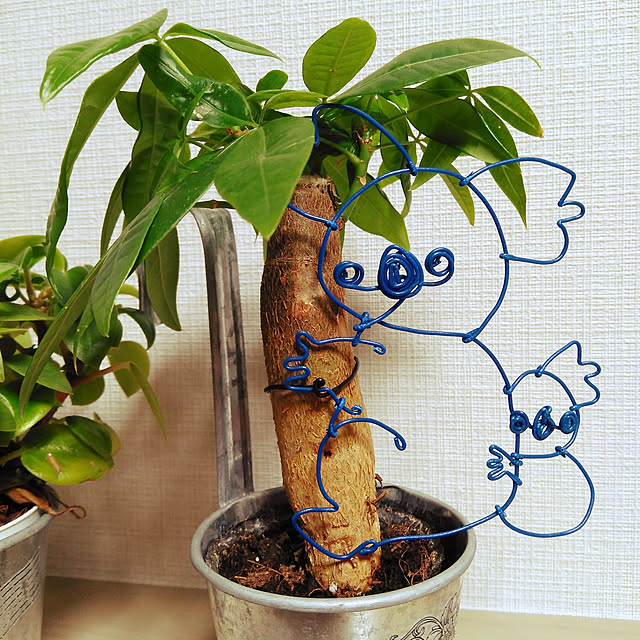 ochakoさんの実例写真
