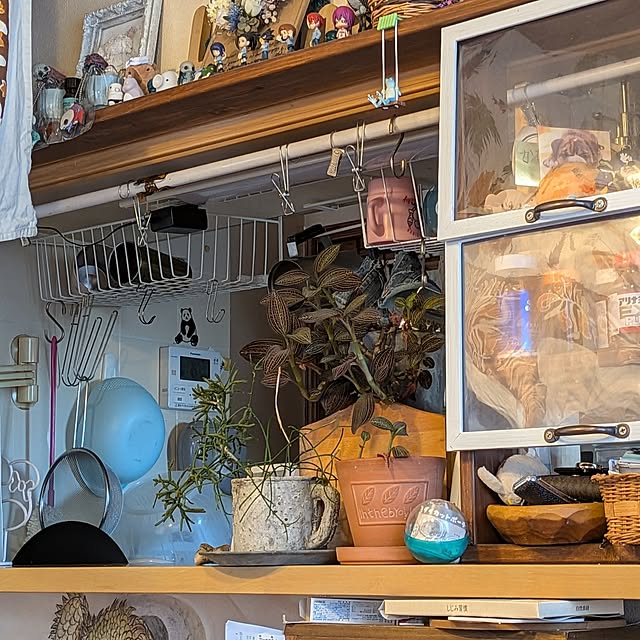 chi_gogaさんの部屋