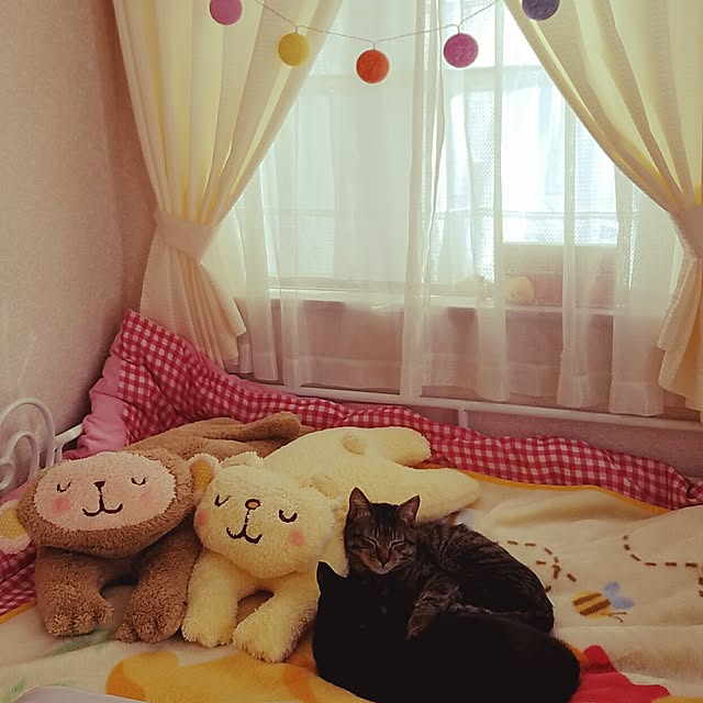 k-ai323さんの実例写真