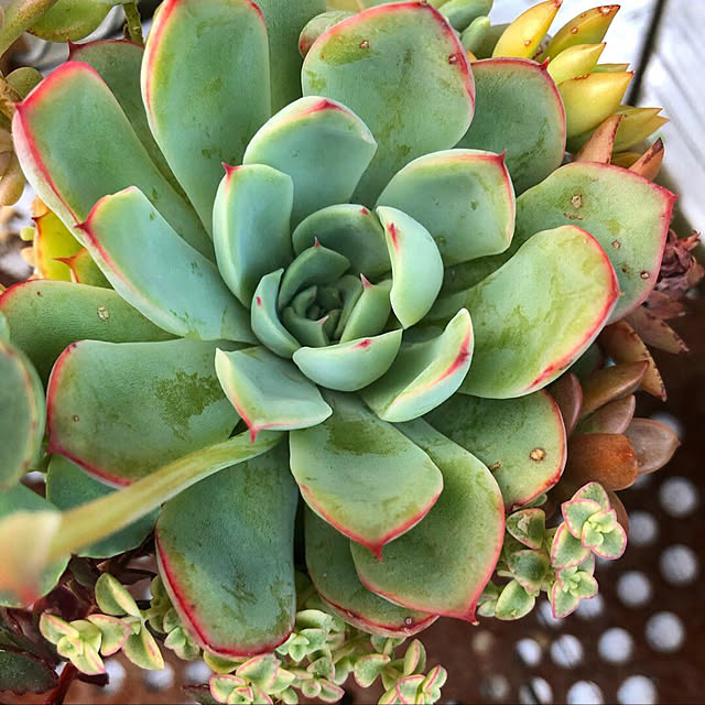 **yuu**さんの実例写真