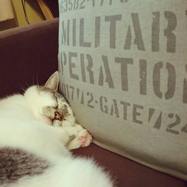furlaさんの実例写真