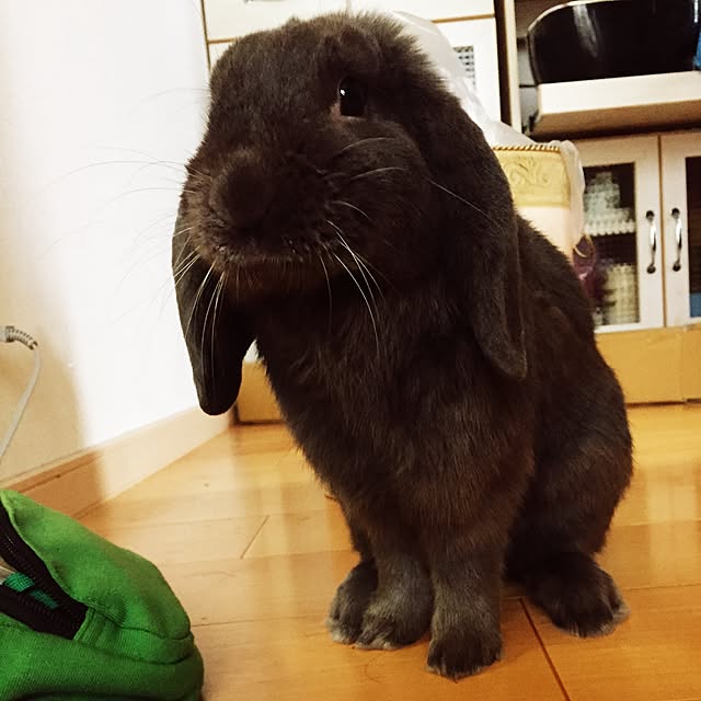 MerryGoRoundさんの実例写真