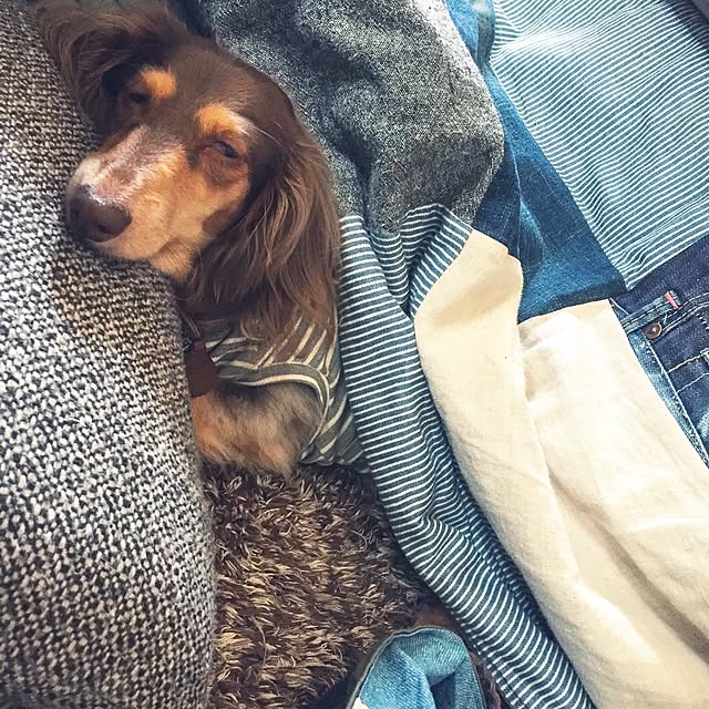 yupponさんの実例写真