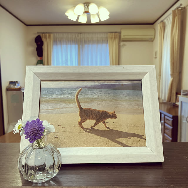 sarahさんの実例写真