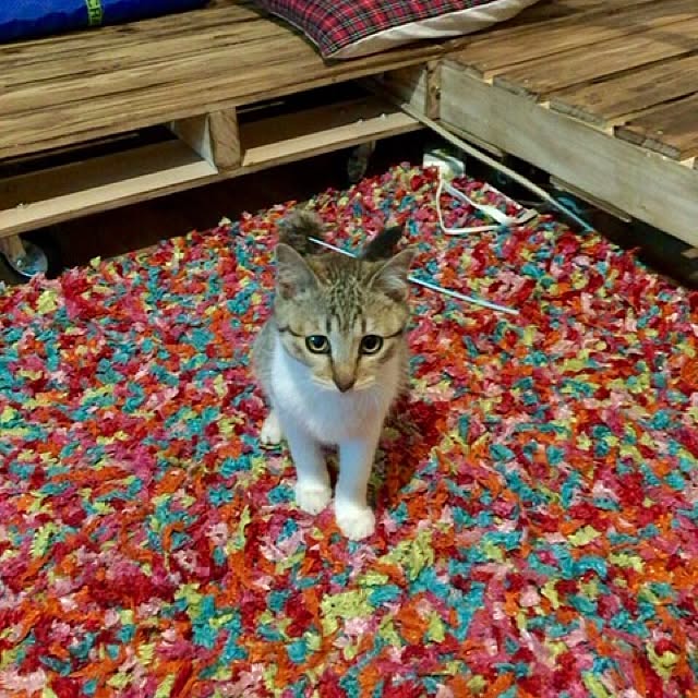sumisumiさんの実例写真
