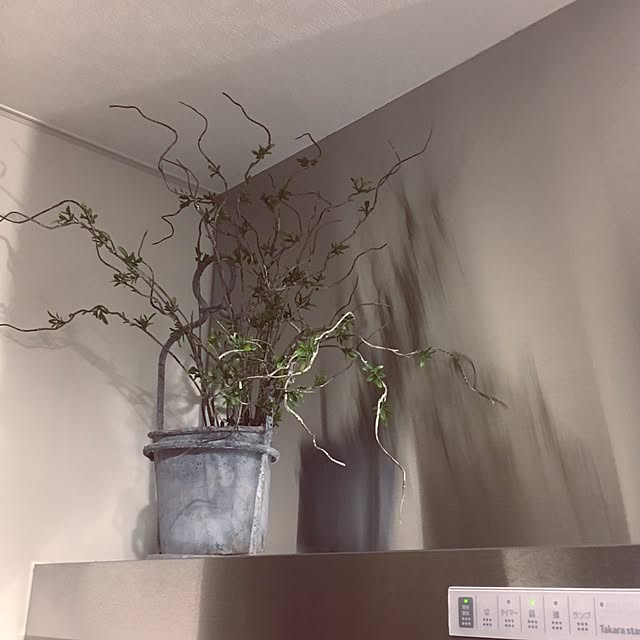 cocco0505さんの実例写真